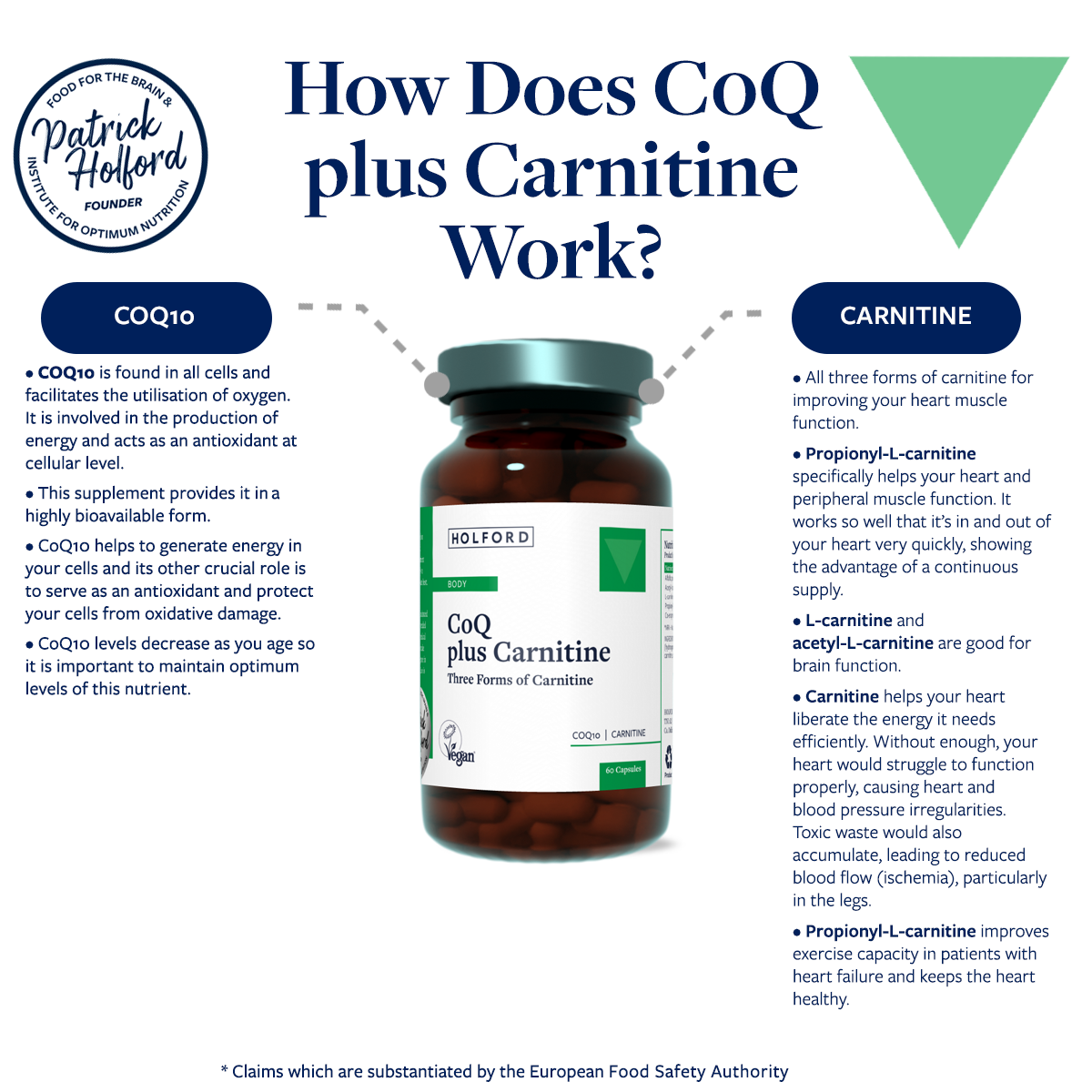 Template 3 – How does CoQ work